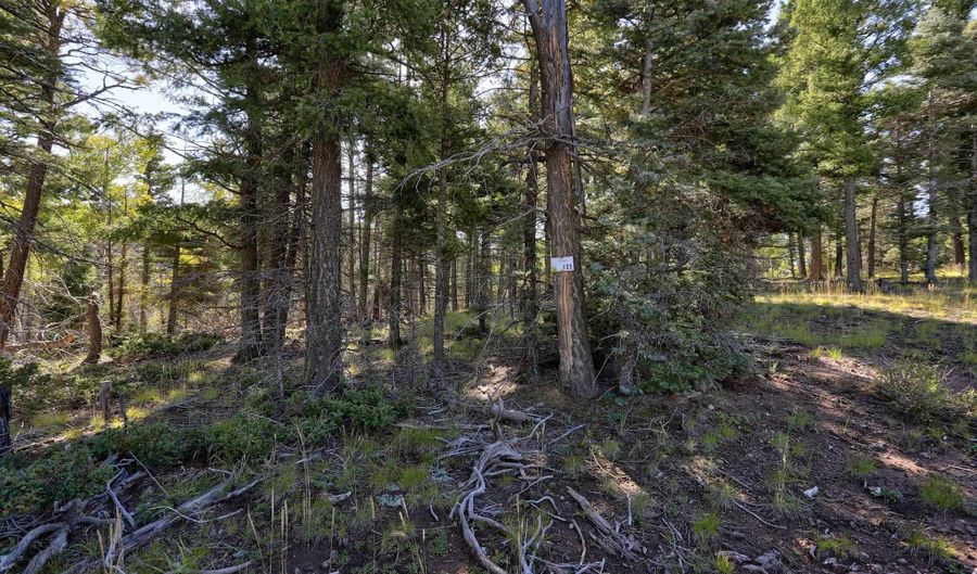 Vail Overlook S lot 323, Angel Fire, NM 87710 - 0 Beds, 0 Bath