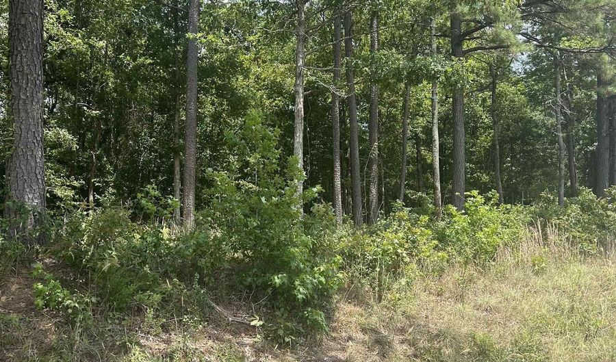 Rosboro, Amity, AR 71921 - 0 Beds, 0 Bath