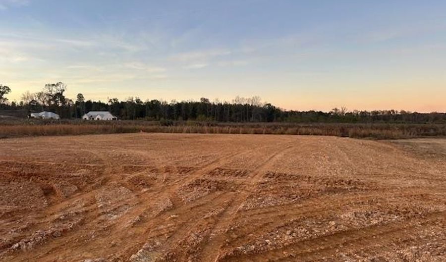 1141 Duke Dr, Bauxite, AR 72011 - 0 Beds, 0 Bath