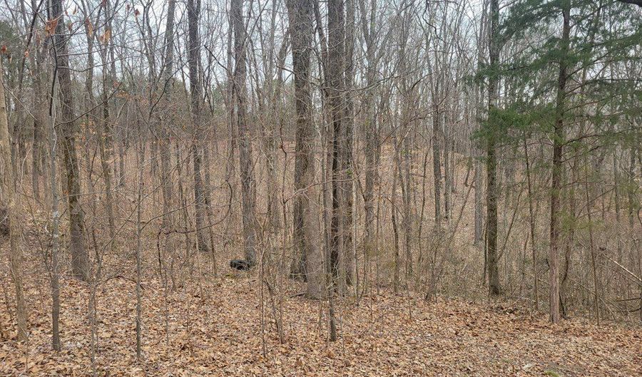 Branch Rd, Big Sandy, TN 38221 - 0 Beds, 0 Bath