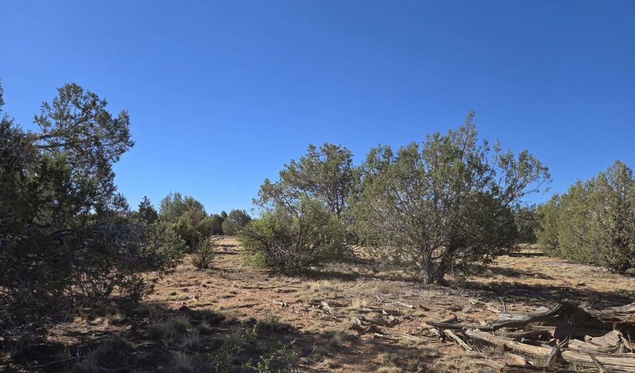 2 E Raney Rd, Ash Fork, AZ 86320 - 0 Beds, 0 Bath