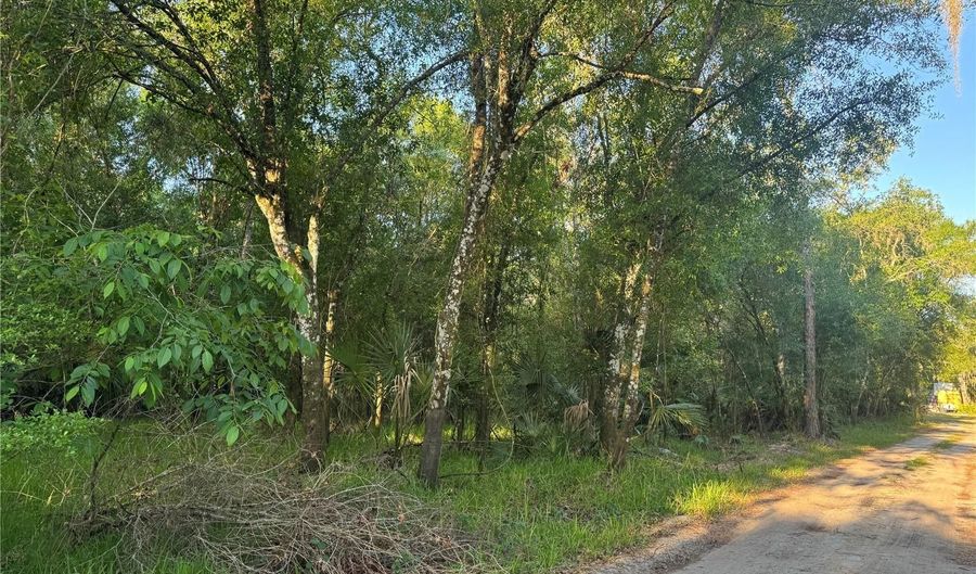 NE RIVER MILL DRIVE, Arcadia, FL 34266 - 0 Beds, 0 Bath