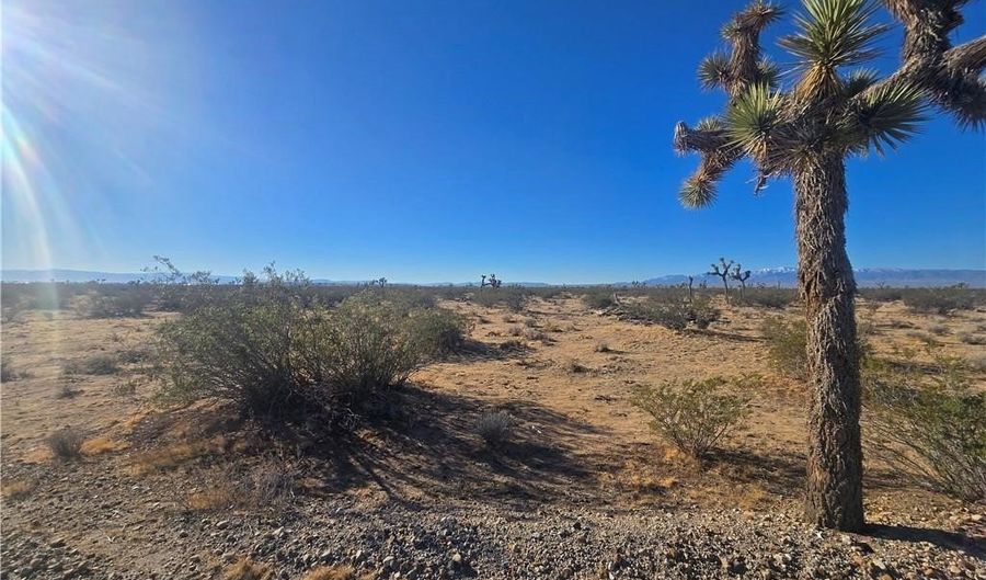 11955 Coronado Ave, Adelanto, CA 92301 - 0 Beds, 0 Bath