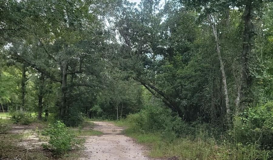 00 Coot Adams Rd, Ashford, AL 36312 - 0 Beds, 0 Bath