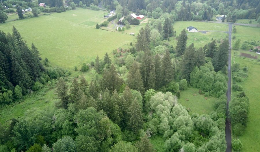 NE 389th St, Amboy, WA 98601 - 0 Beds, 0 Bath