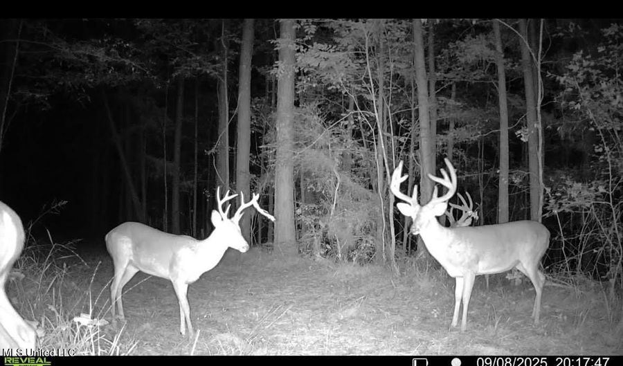 2 Champion Hill Rd, Bolton, MS 39041 - 0 Beds, 0 Bath