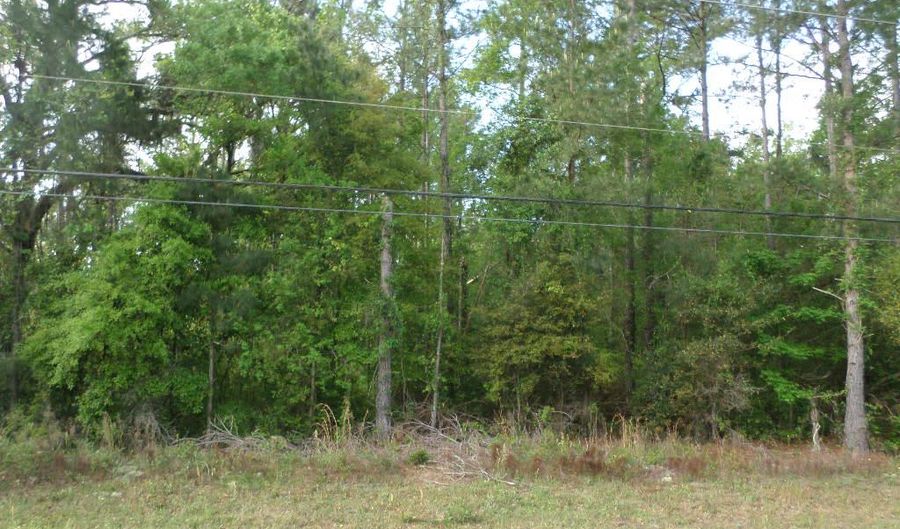 31 6 Ac. Lake Douglas Rd, Bainbridge, GA 39819 - 0 Beds, 0 Bath