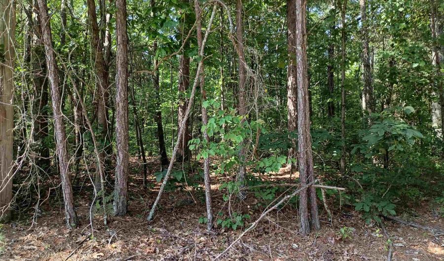 1 Arledge Dr, Attalla, AL 35954 - 0 Beds, 0 Bath