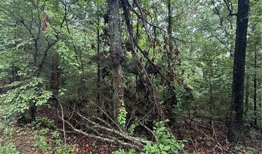 Lot 7 Block 5 Banff DR, Bella Vista, AR 72715 - 0 Beds, 0 Bath