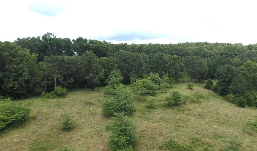 11138 State Highway O, Ava, MO 65608 - 2 Beds, 1 Bath