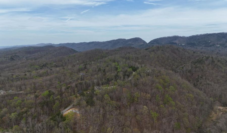 Bayside Boulevard lot 48, Bean Station, TN 37708 - 0 Beds, 0 Bath