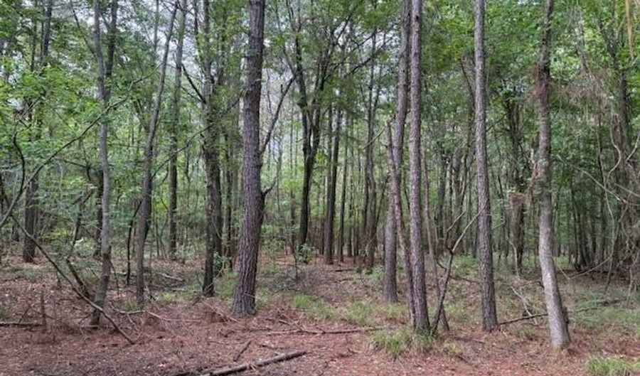 Carbon Plant Road, Bastrop, LA 71220 - 0 Beds, 0 Bath