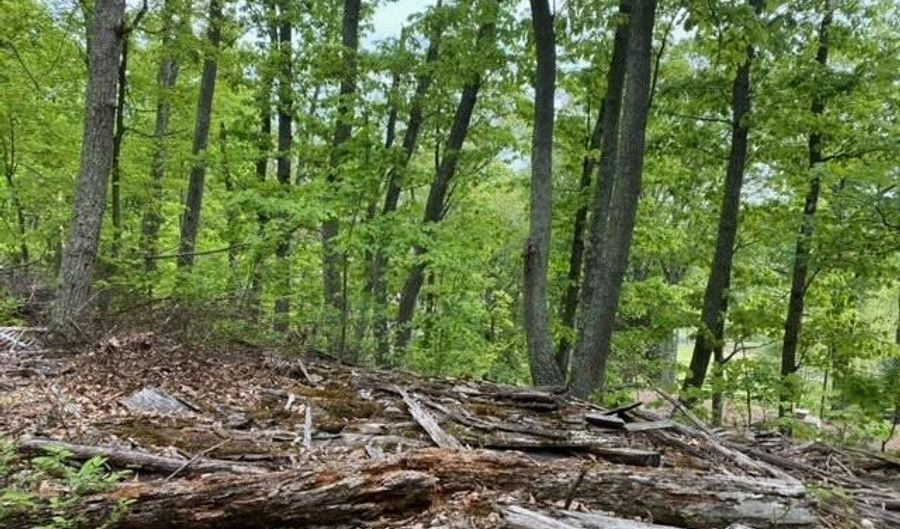 NEW MOUNTAIN Road, Aldie, VA 20105 - 0 Beds, 0 Bath