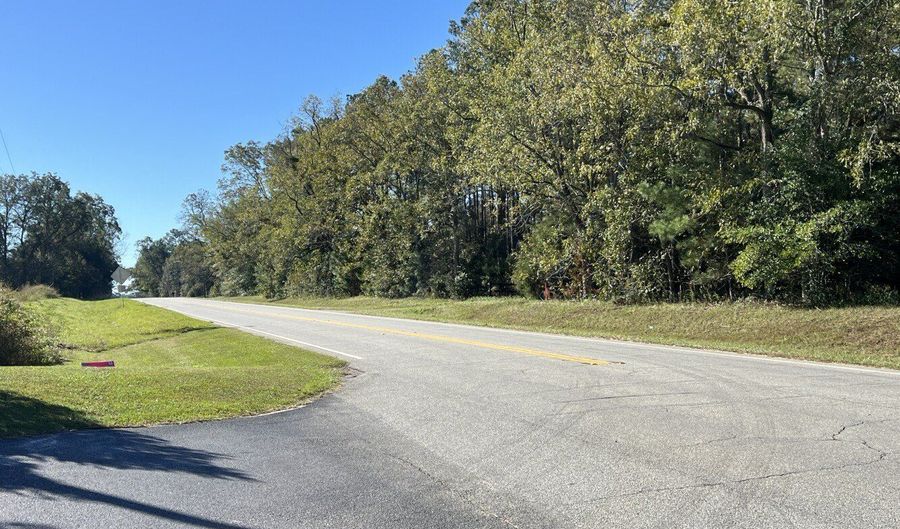 0 Tallahassee Hwy, Attapulgus, GA 39815 - 0 Beds, 0 Bath