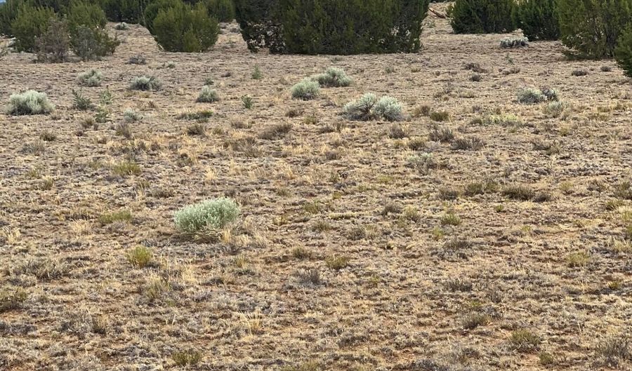 8206 TBD N8206, Concho, AZ 85924 - 0 Beds, 0 Bath