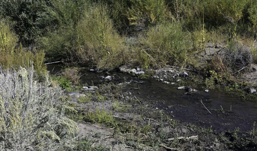 330 Veris Ct 1, Gardnerville, NV 89410 - 0 Beds, 0 Bath