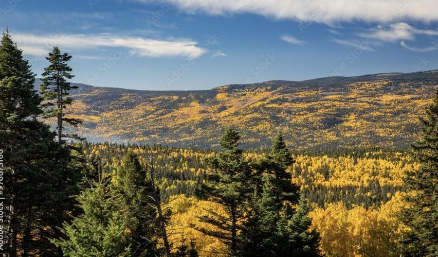 1 The Ranch At Angel Fire, Angel Fire, NM 87710 - 0 Beds, 0 Bath