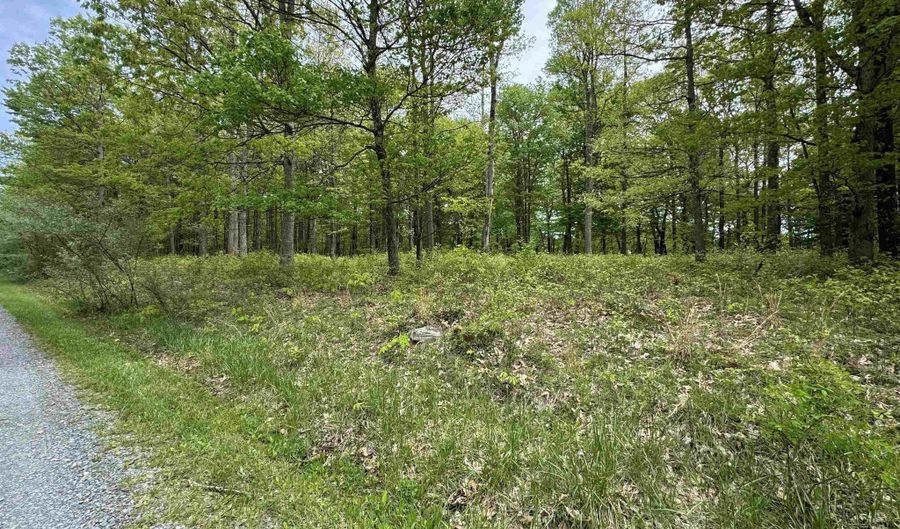 Lot 29 Oak Drive, Albright, WV 26519 - 0 Beds, 0 Bath