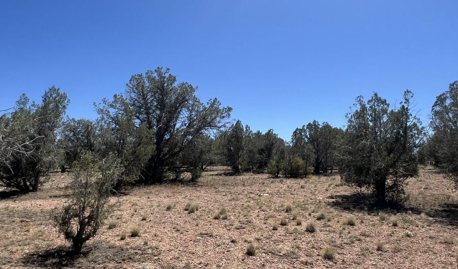 202 Cooks Trl, Ash Fork, AZ 86320 - 0 Beds, 0 Bath