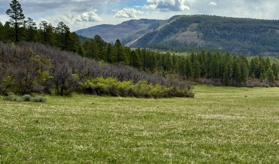 15098 CR 240, Bayfield, CO 81122 - 0 Beds, 0 Bath