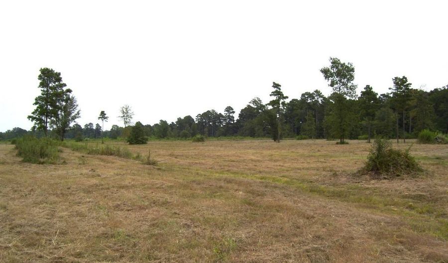 1665 Peyton Ave, Ashdown, AR 71822 - 0 Beds, 0 Bath
