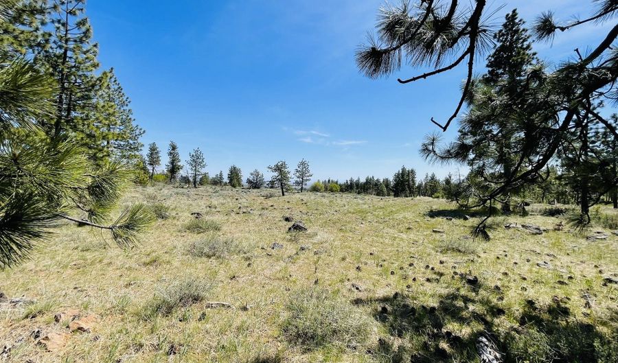 Jensen Quarry RD, Bickleton, WA 99322 - 0 Beds, 0 Bath