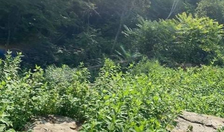 Lot 11 Wolf River Est Rd, Albany, KY 42602 - 0 Beds, 0 Bath
