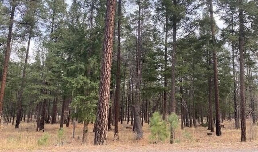 000 COUNTY ROAD 2196 LOT 74 AFE, Alpine, AZ 85920 - 0 Beds, 0 Bath