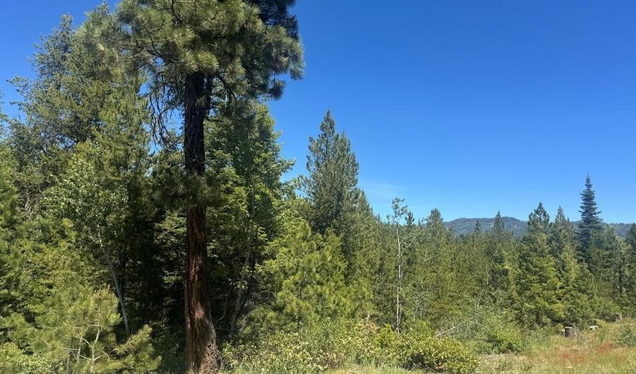Saddle Rock Drive lot 19, Cascade, ID 83611 - 0 Beds, 0 Bath