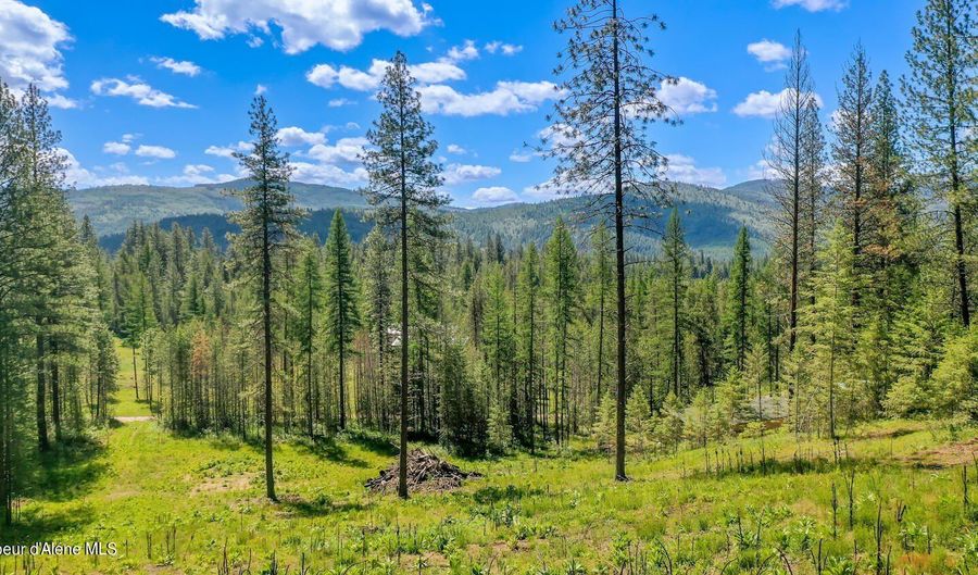 NKA Meadowland Drive, Blanchard, ID 83804 - 0 Beds, 0 Bath