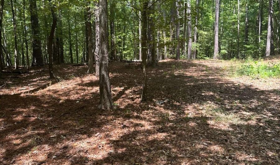 1144 Wolfskin, Arnoldsville, GA 30619 - 0 Beds, 0 Bath