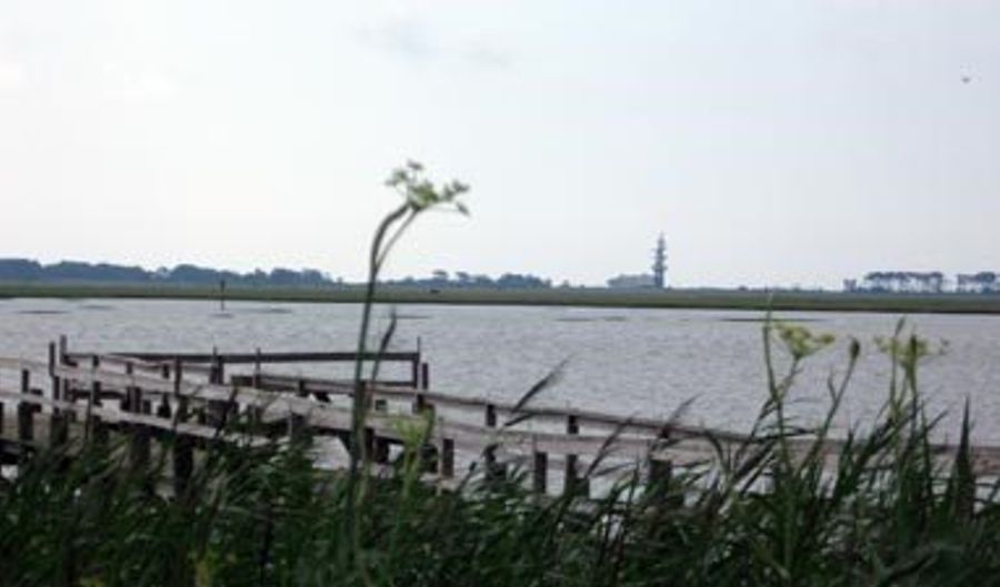 OYSTER COVE LANE lot 16, Atlantic, VA 23303 - 0 Beds, 0 Bath