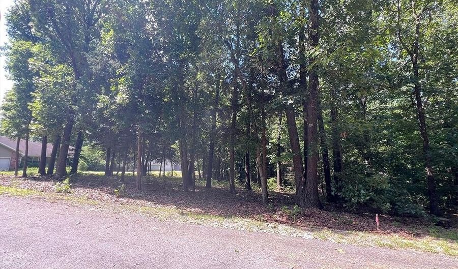 Nettle LN, Bella Vista, AR 72714 - 0 Beds, 0 Bath