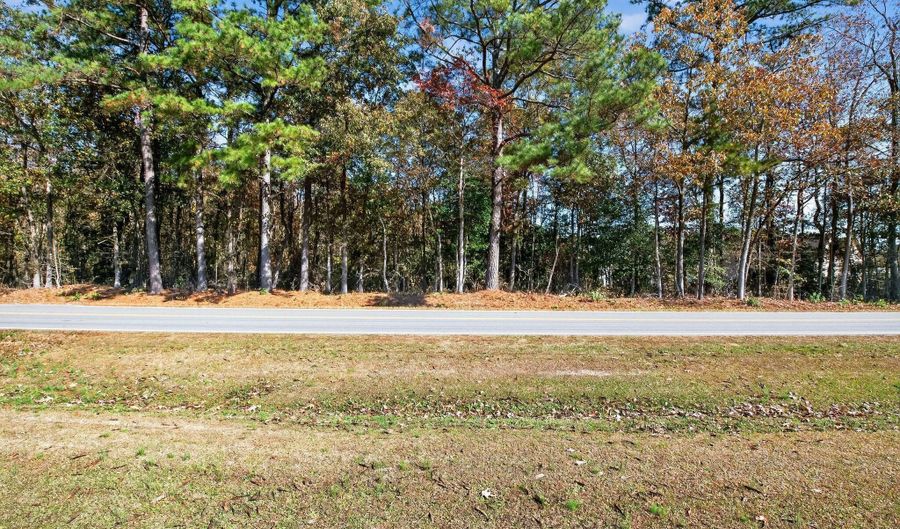 Strickland Road, Bailey, NC 27807 - 0 Beds, 0 Bath