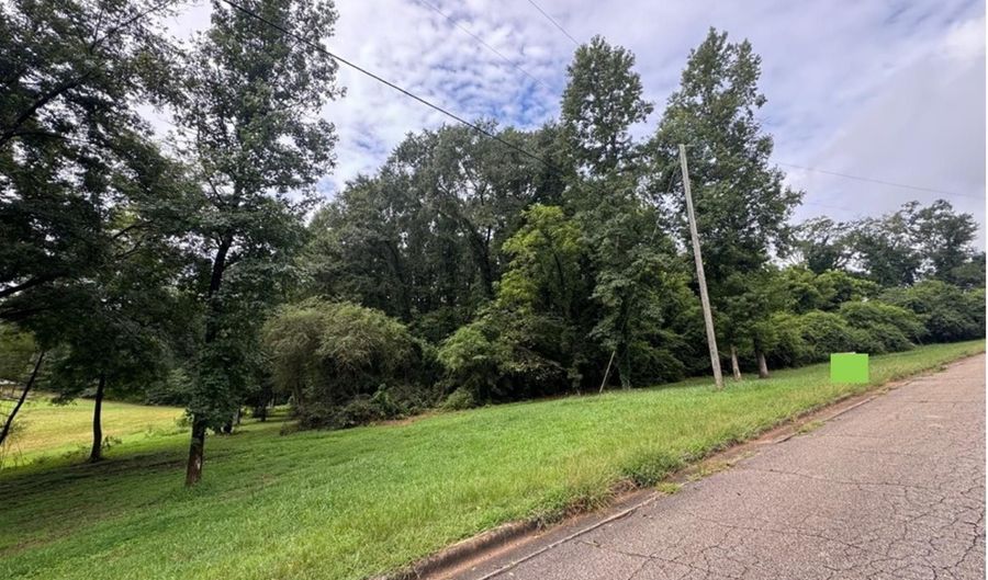 5 TH AVENUE Lot 1.6 Acres, Ashland, AL 36251 - 0 Beds, 0 Bath