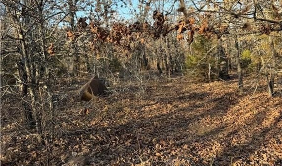 Tract 3 Rural Atoka, Atoka, OK 74525 - 0 Beds, 0 Bath