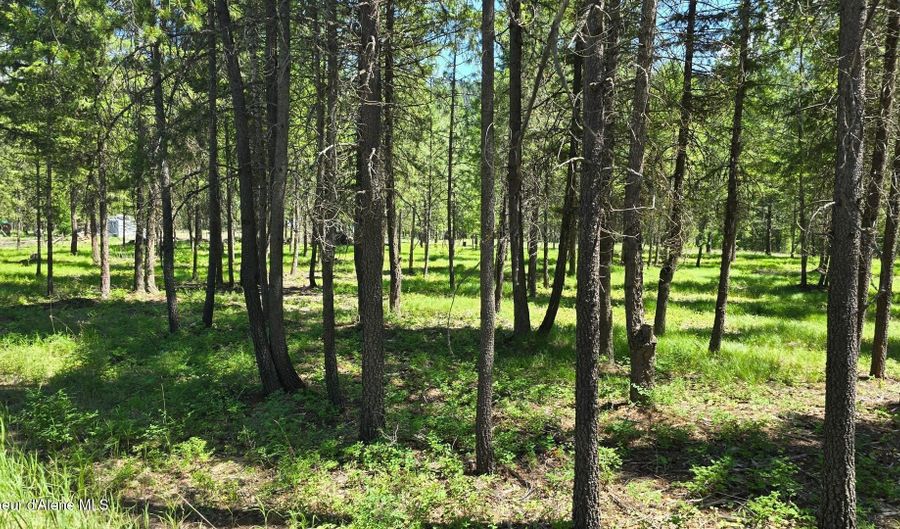 1540 Katka Rd, Bonners Ferry, ID 83805 - 0 Beds, 0 Bath