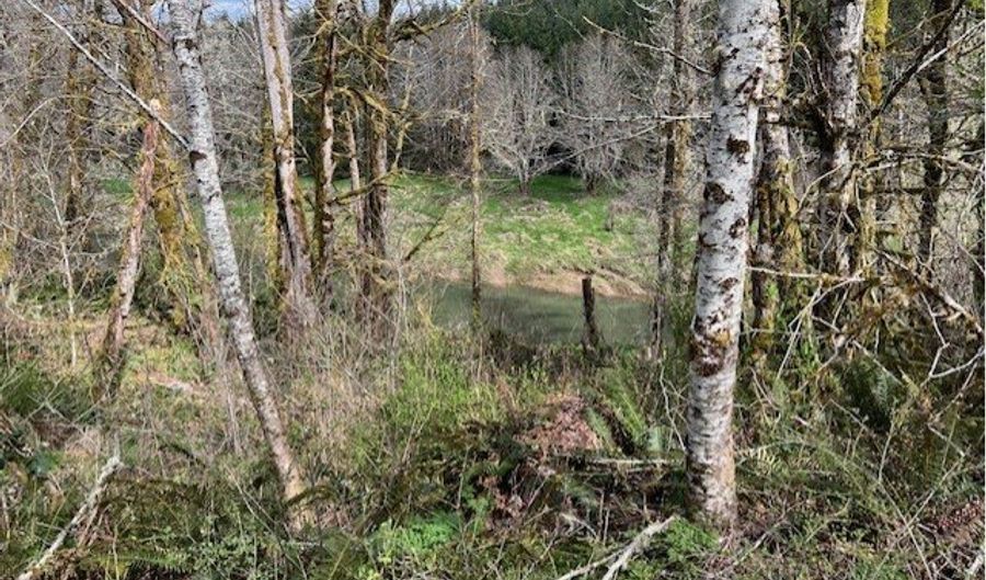 Northrup Creek RD, Birkenfeld, OR 97016 - 0 Beds, 0 Bath