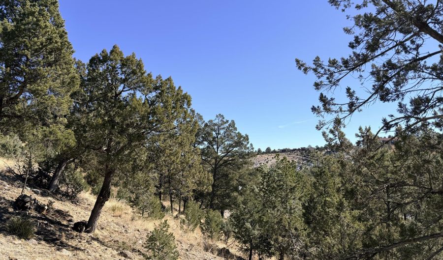 Bobcat Trail lot T43c, Alto, NM 88312 - 0 Beds, 0 Bath