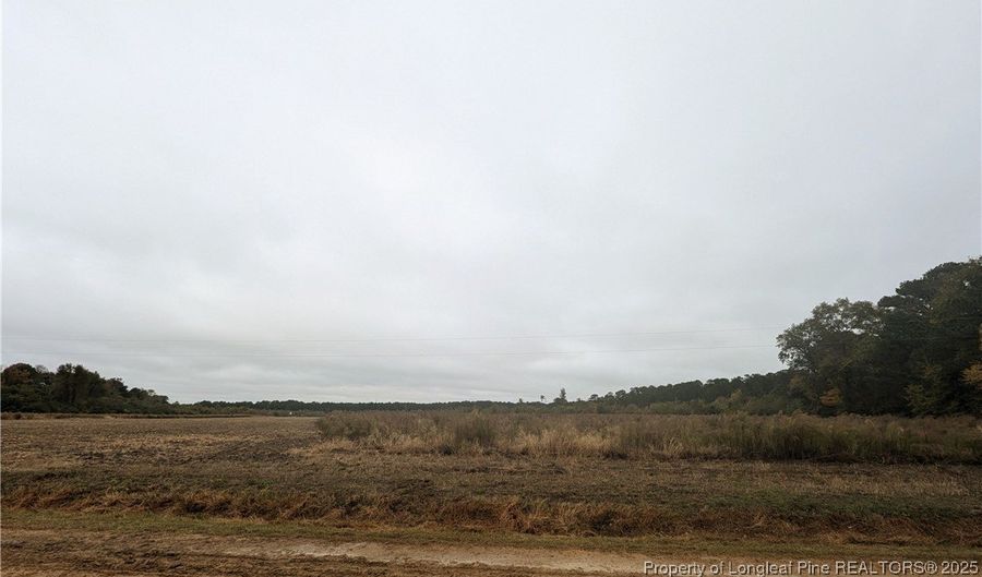 Triple B Lane, Autryville, NC 28318 - 0 Beds, 0 Bath