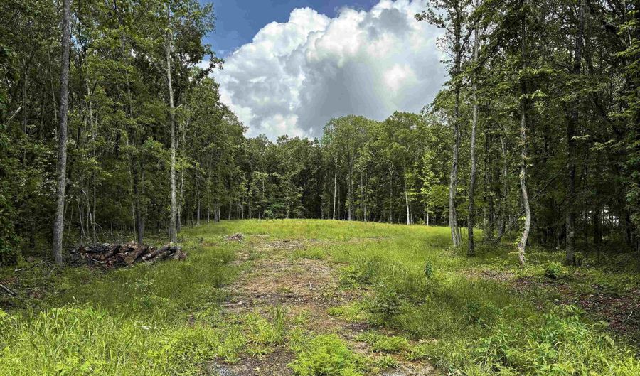 00 Gold Hill Rd, Atkins, AR 72823 - 0 Beds, 0 Bath