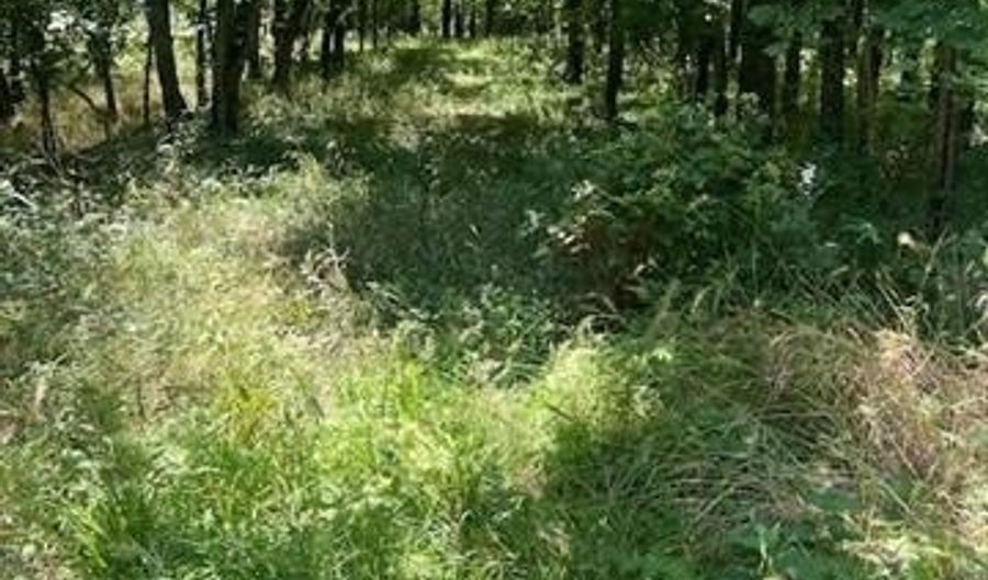 65 Lakeside Rdg N, Adair, OK 74330 - 0 Beds, 0 Bath