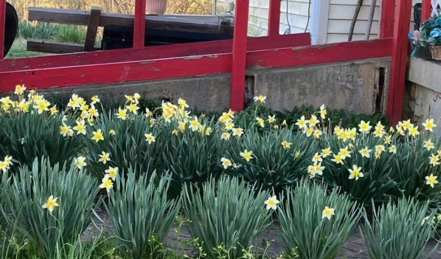 679 New Hope Church Rd, Barbourville, KY 40906 - 3 Beds, 1 Bath