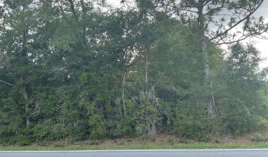 0 Lakepoint Rd, Alford, FL 32420 - 0 Beds, 0 Bath