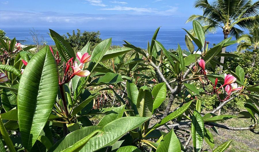 KAOHE RD, Captain Cook, HI 96704 - 0 Beds, 0 Bath