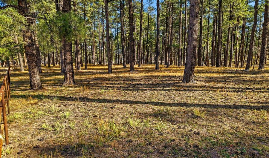 25319 US Hwy 191, Alpine, AZ 85920 - 0 Beds, 0 Bath