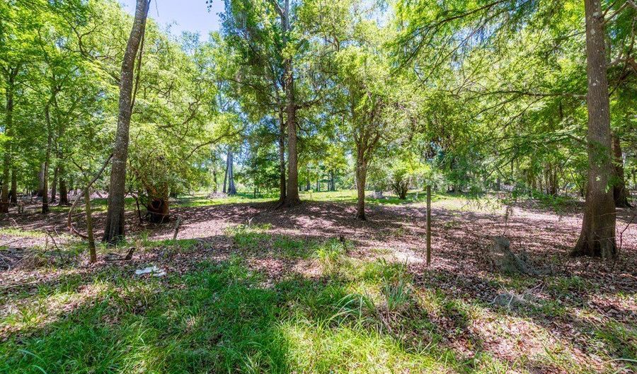 SW 17th St, Bell, FL 32619 - 0 Beds, 0 Bath