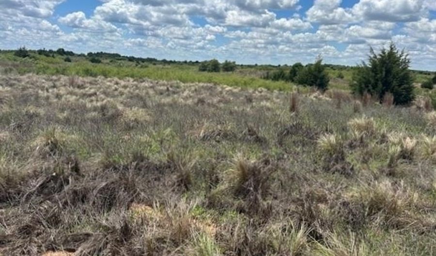 Highway 60 & N. County Road 199, Arnett, OK 73832 - 0 Beds, 0 Bath