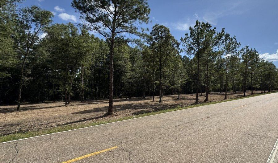 0 LA-40 Tract 3, Albany, LA 70711 - 0 Beds, 0 Bath