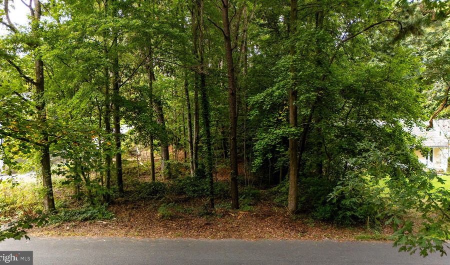 BLACKWATER VLG LOT 1 BLK INDIAN QUEEN LANE, Dagsboro, DE 19939 - 0 Beds, 0 Bath